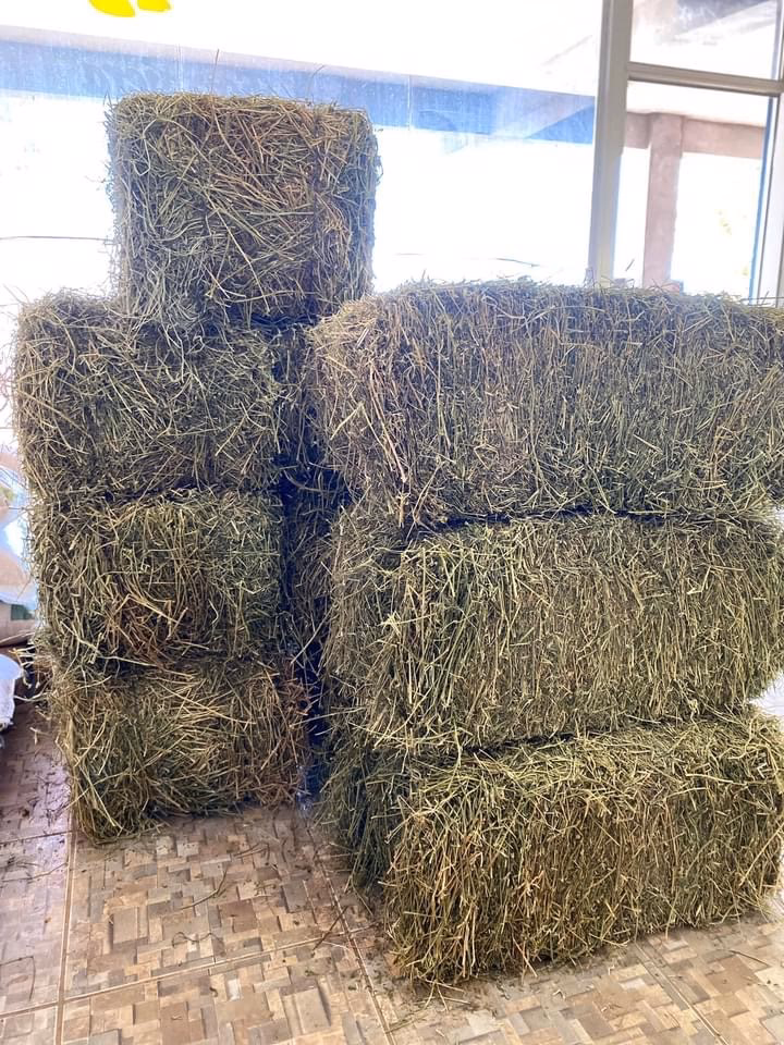 Agropecuaria El Guerrero