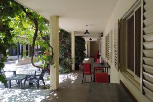 Alfajores Robertito Fabrica