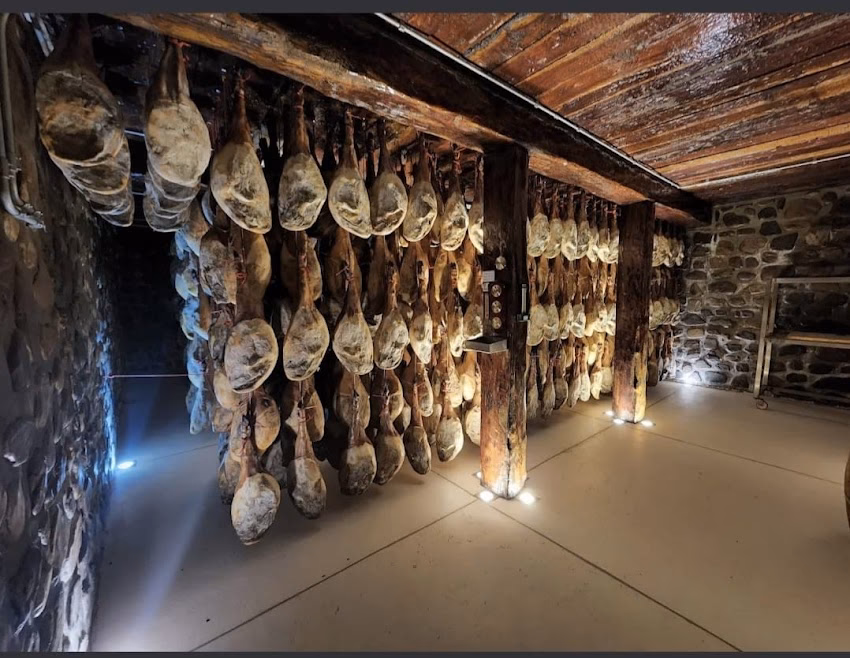 Cerdo Negro La Montanera