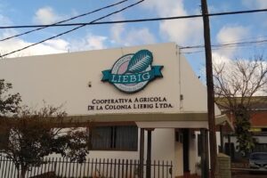 Cooperativa Agrícola Colonia Liebig Yerba Mate Playadito