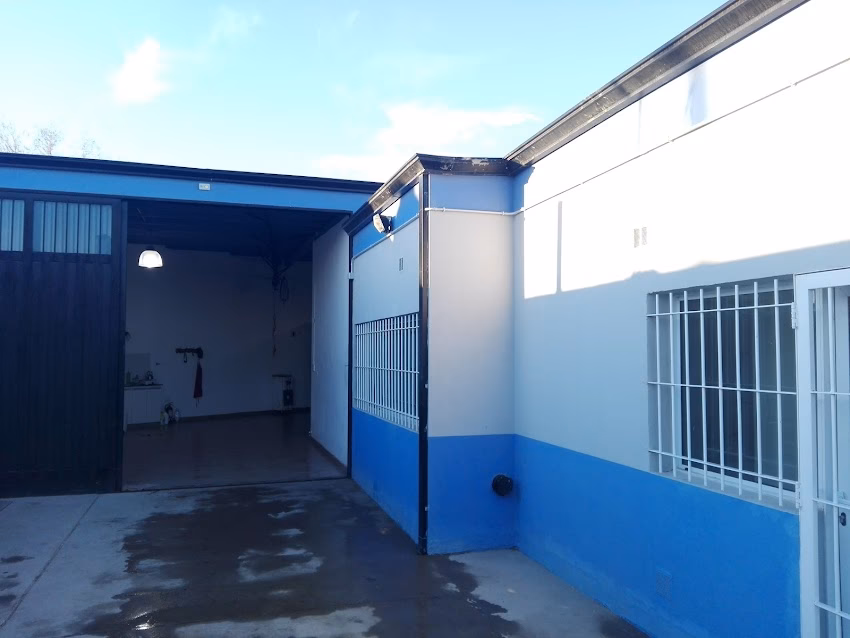 Distribuidora Mayorista El Galenso