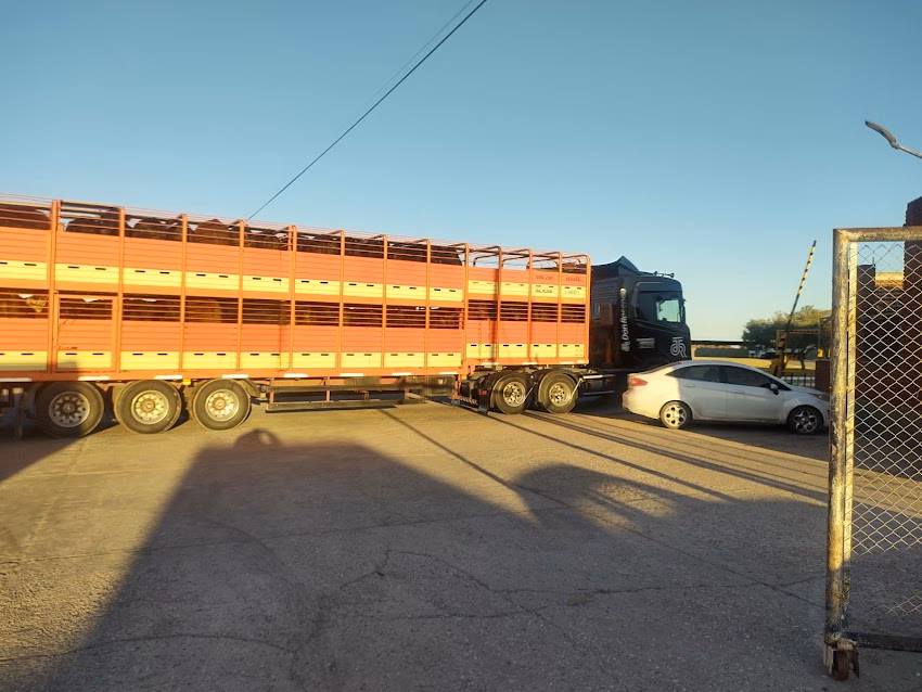 Frigorifico Villa Olga