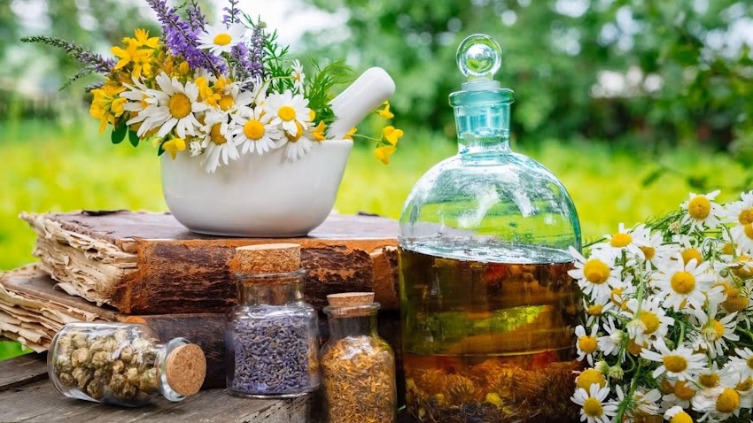 La Casa de los Mil Yuyos