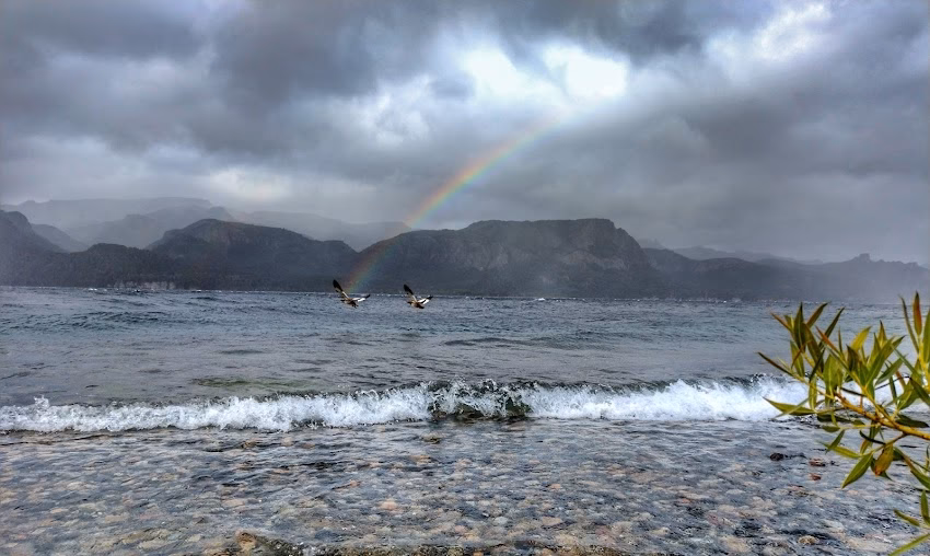 Los Cauquenes Heladería sobre el lago