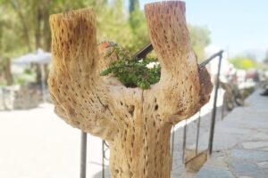 Vinoteca Heladería Wine Store