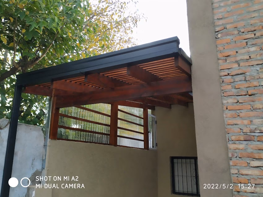 Zingueria palavecino